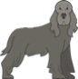 dog-1