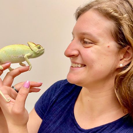 smiling female veterinarian holding a small green reptile