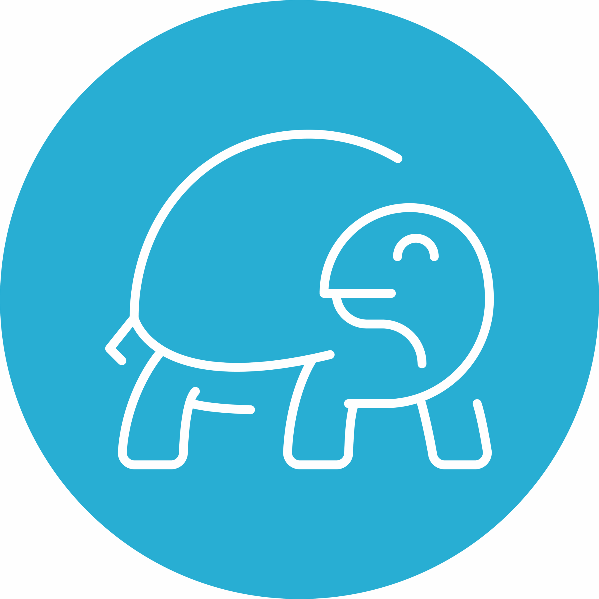 Turtle Icon