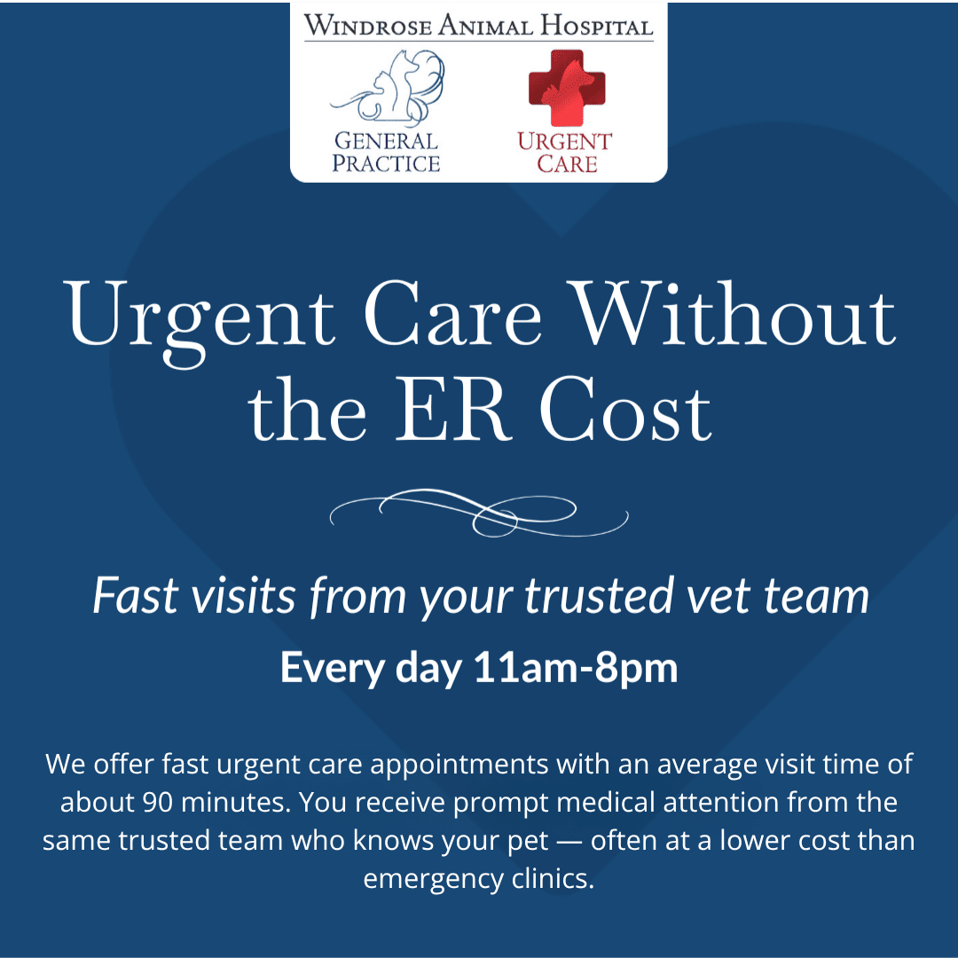 flyer for popup for urgent care